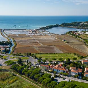Ogled povečano sliko Naravni rezervat Strunjan