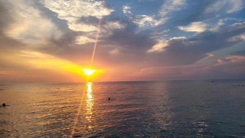 Ogled povečano sliko