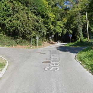 Ogled povečano sliko